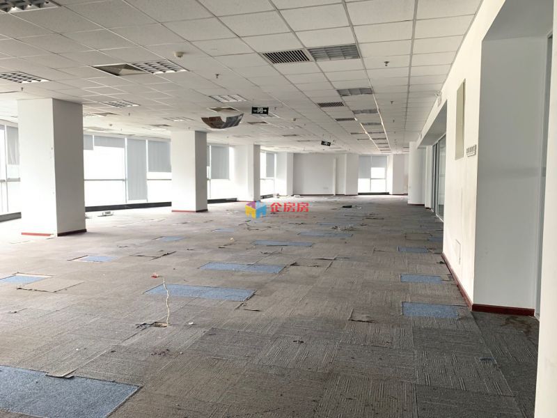 中电发展大厦（909大厦）