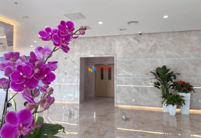 首开广场（天鸿宝景大厦）