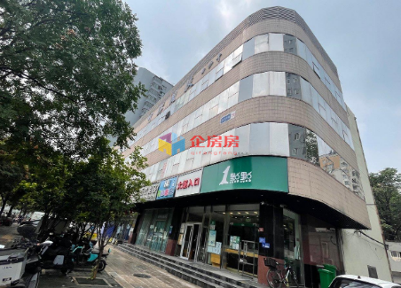 中环国投大厦（中银利华大厦）