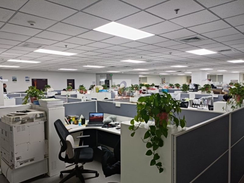 能+中心（金泰中心（柳芳）