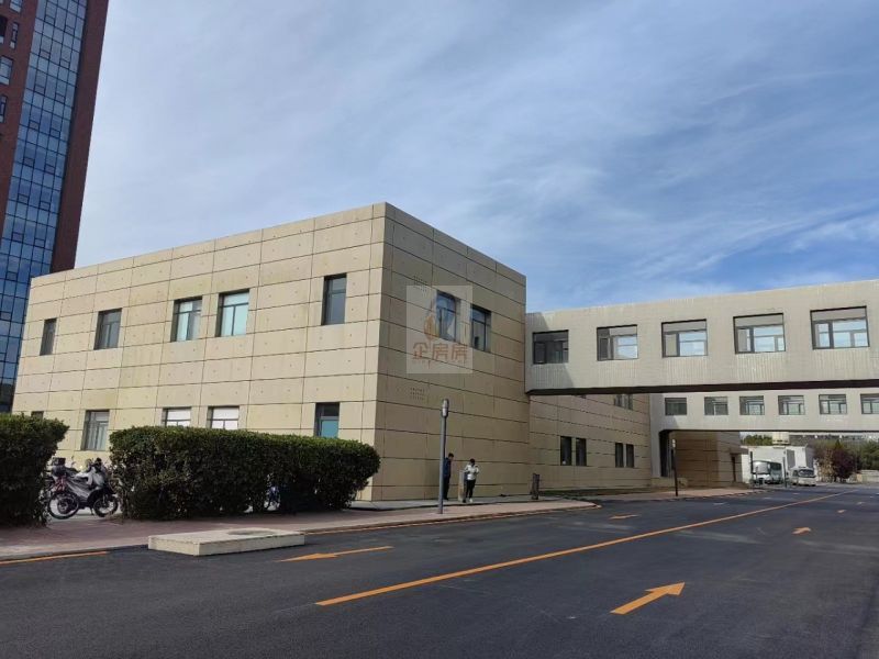 金汉王科技大厦