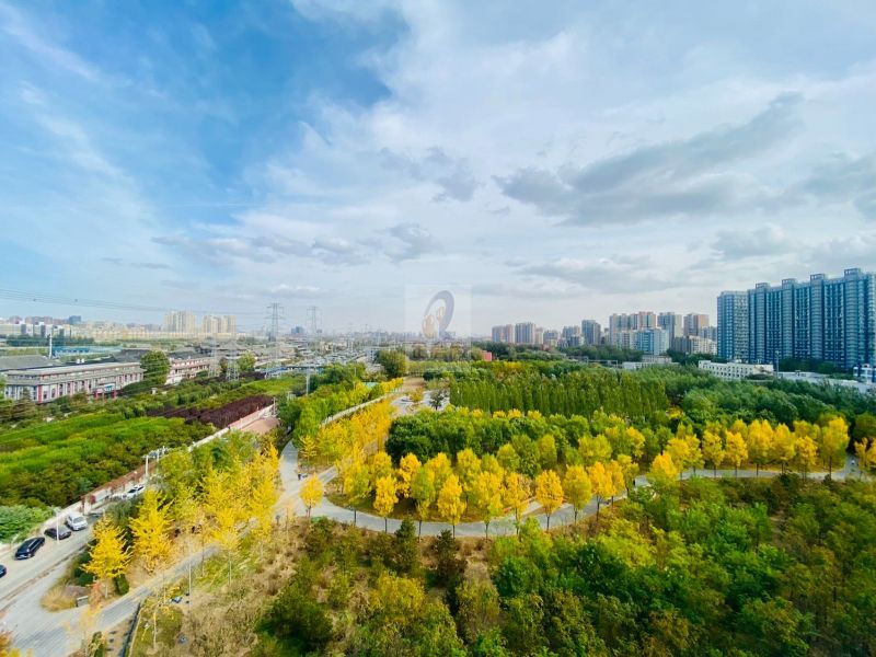 伊莎文化广场(伊莎大厦 )