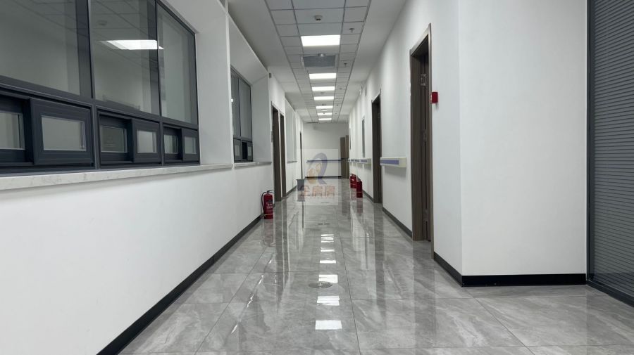 六壹广场（教育培训）（领行国际）