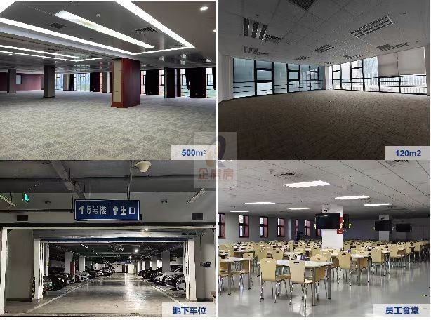 科技协同创新基地