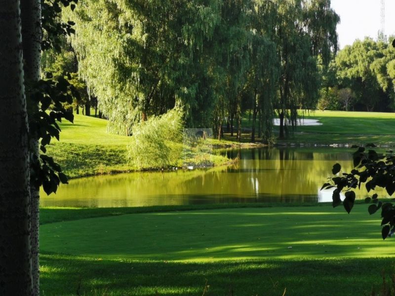 北美国际商务中心