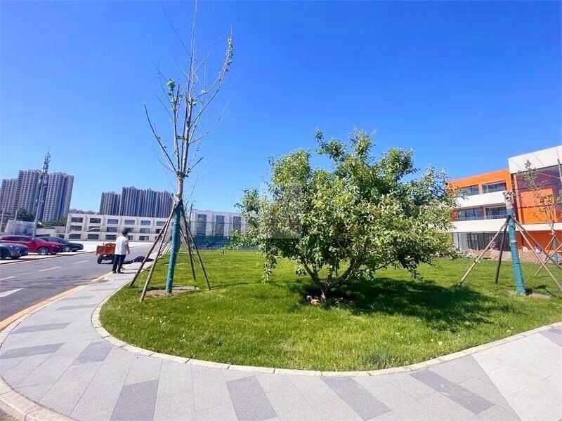 鼎新科技产业园