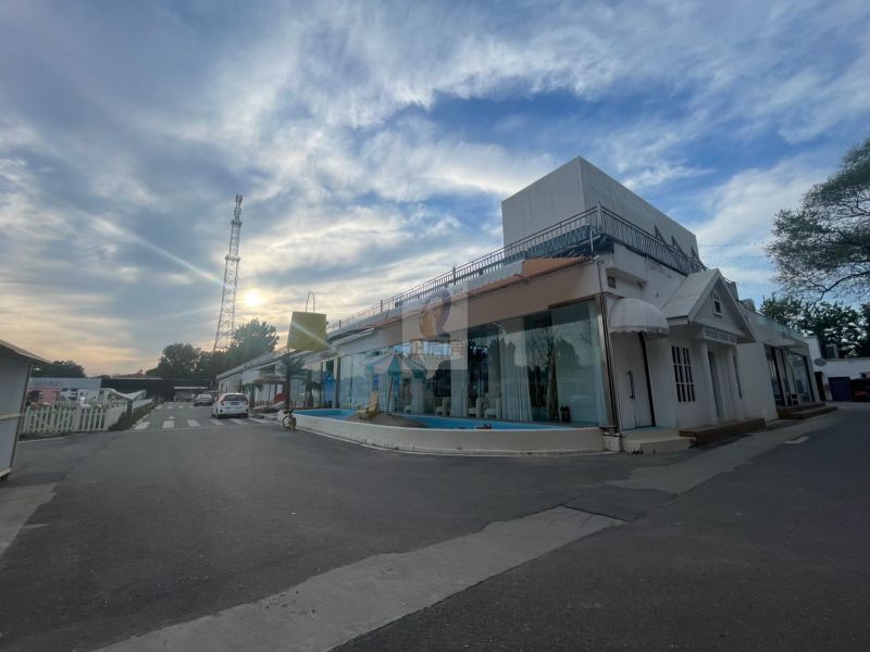 新闻艺术公园（NEWS ART PARK）