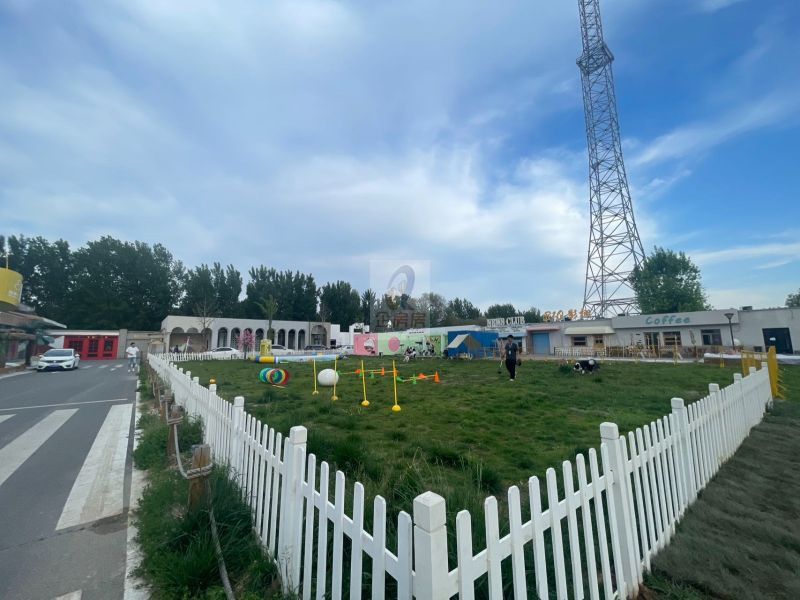 新闻艺术公园（NEWS ART PARK）