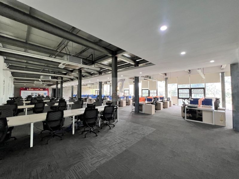 DREAM2049国际文创产业园