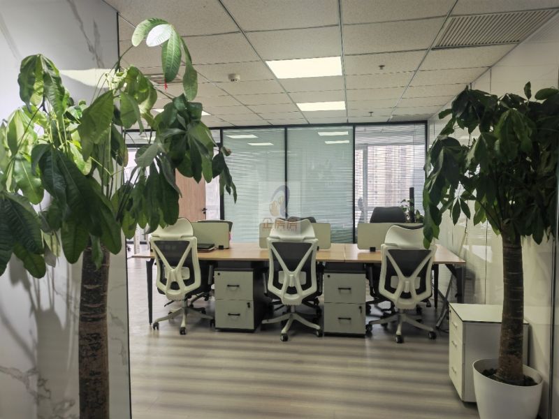 远洋国际中心CD座