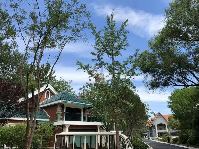 特立奥森体育文化中心（独栋项目）