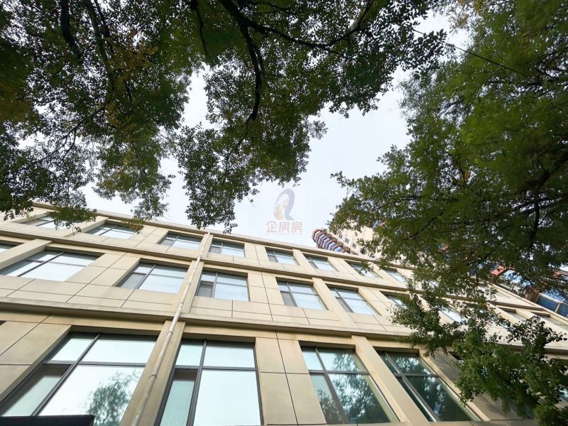 安德里北街甲17号