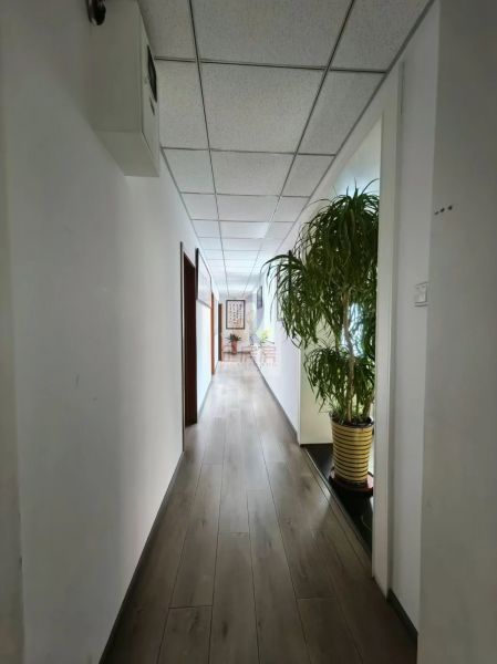 化工大院甲8号楼独栋