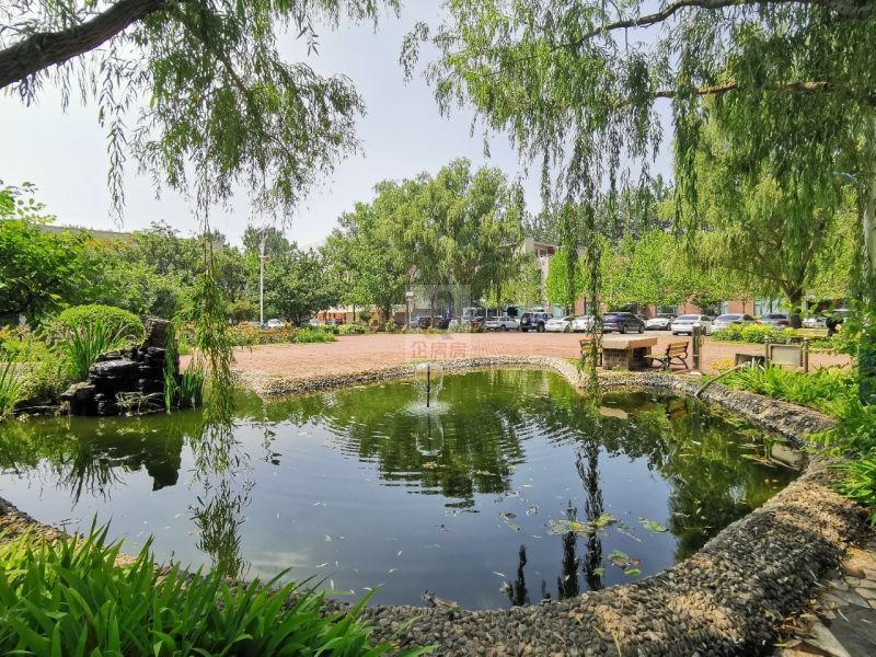 北美国际商务中心