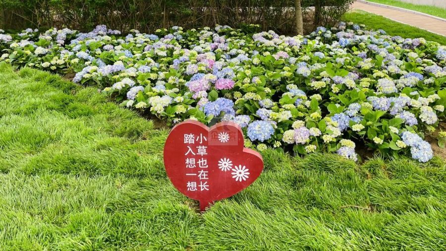 华腾世纪总部公园 