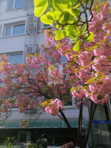 能+商务楼(展览路)（金泰华云）