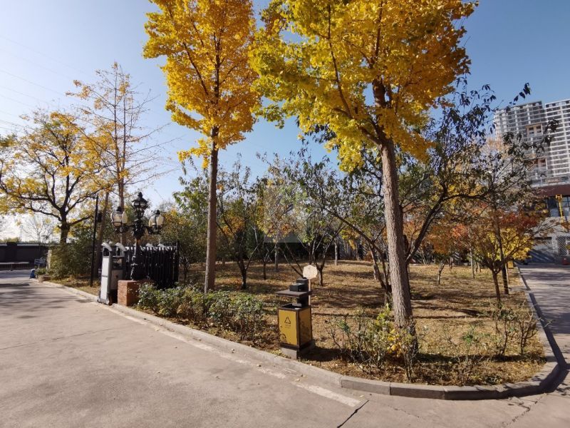 吉里国际艺术区 