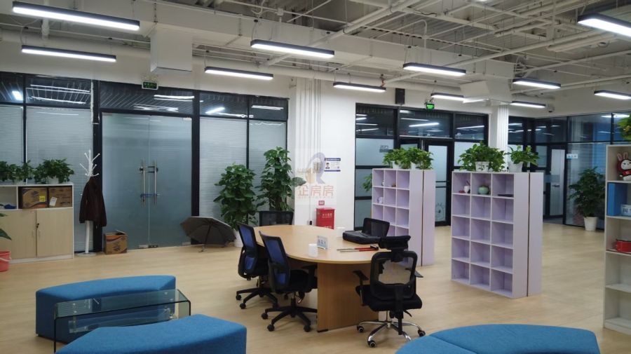 学院八号（学院8号）金五星改造