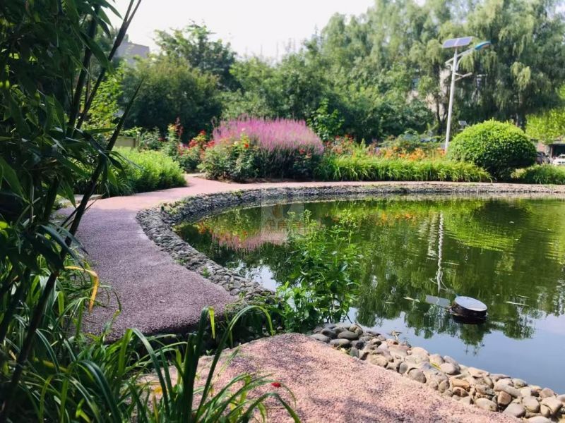 北美国际商务中心