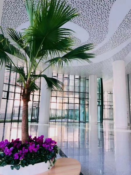 国航世纪大厦（国航大厦二期）