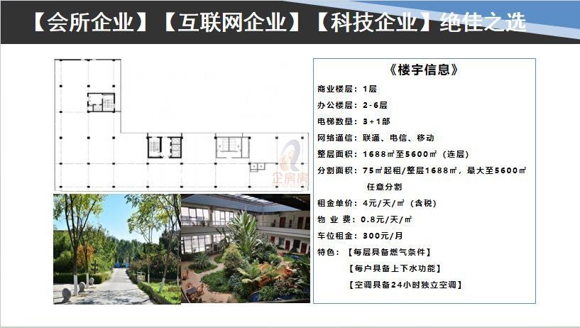 外贸大厦（中合国青大厦）