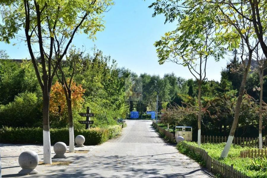 外贸大厦（中合国青大厦）