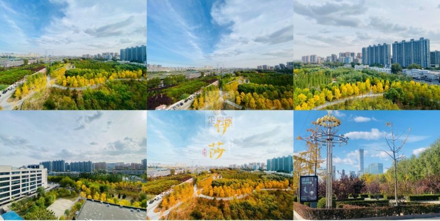 伊莎文化广场(伊莎大厦 )