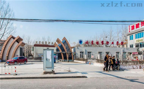 培黎职业学院 详情