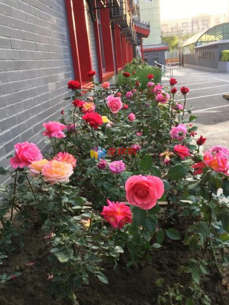 鑫企旺（永定门文创园）