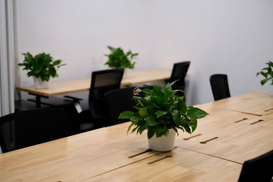 学院路国际人才创新实验室