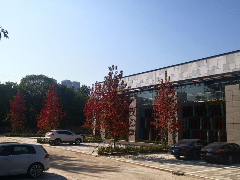 泰北时代LIFE文化科技产业园