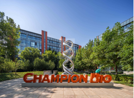 国际医疗器械城