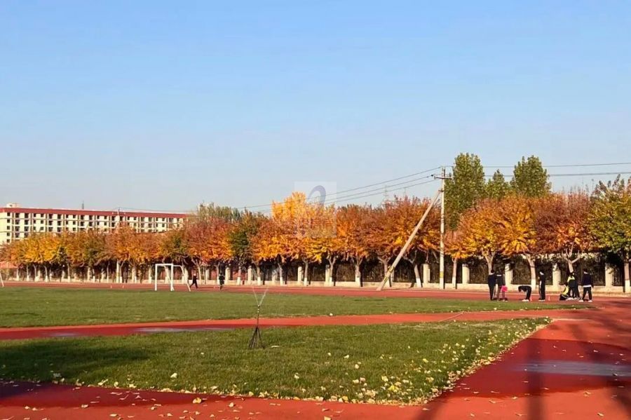 4908_1.jpg