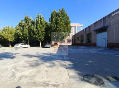 4806_6.jpg